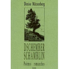 Couverture du livre 'Dschember Schamblin'